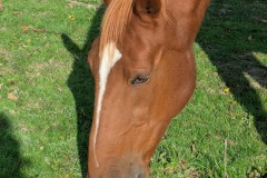 PXL_20251014_084118301