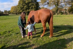 PXL_20251014_084213074