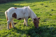 PXL_20251014_084415637