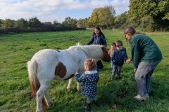 PXL_20251014_084447872