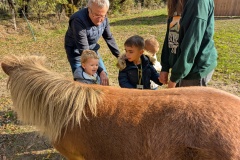 PXL_20251014_085314930