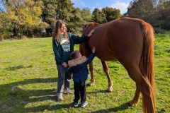 PXL_20251014_085417423