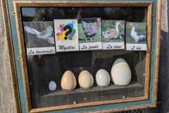 PXL_20251014_091943472