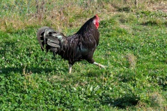 PXL_20251014_092031542