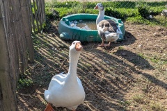 PXL_20251014_092551661.PORTRAIT.ORIGINAL