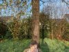 IMG_6030
