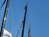 IMG_20241105_135231